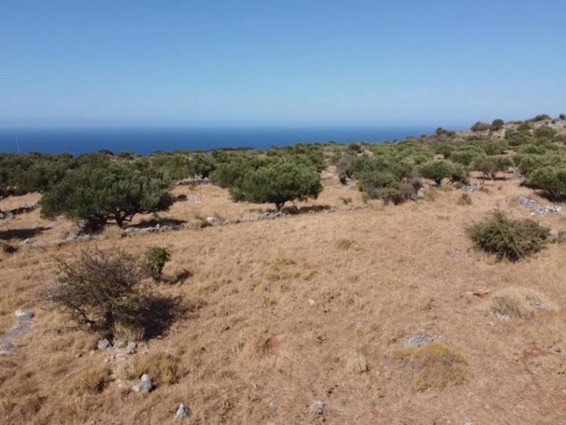 Kokkino Chorio Atemberaubendes Grundstück mit Meerblick in Kokkino Chorio Grundstück kaufen